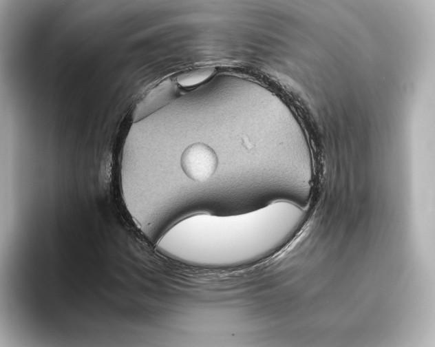 X0000095121161200712211304