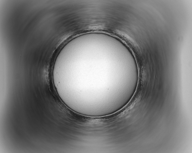 X0000095121162200712211304