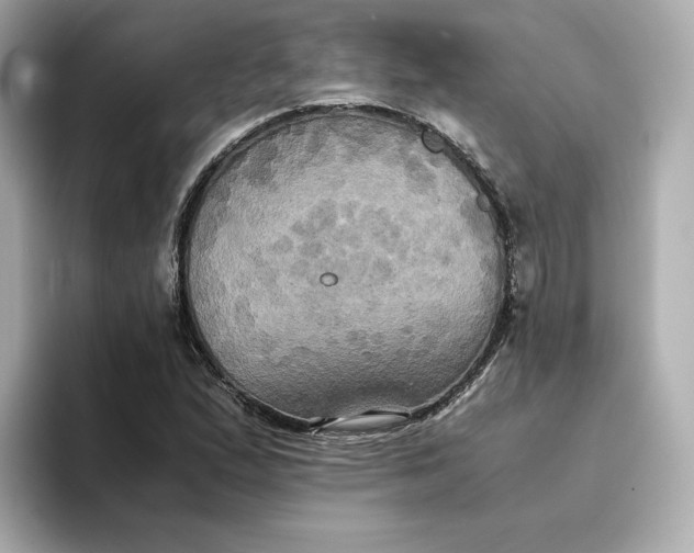 X0000095121167200712211304