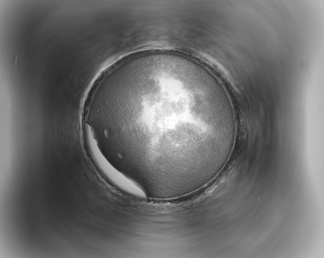 X0000095121168200712211304