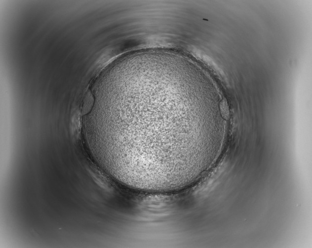 X0000095121169200712211304