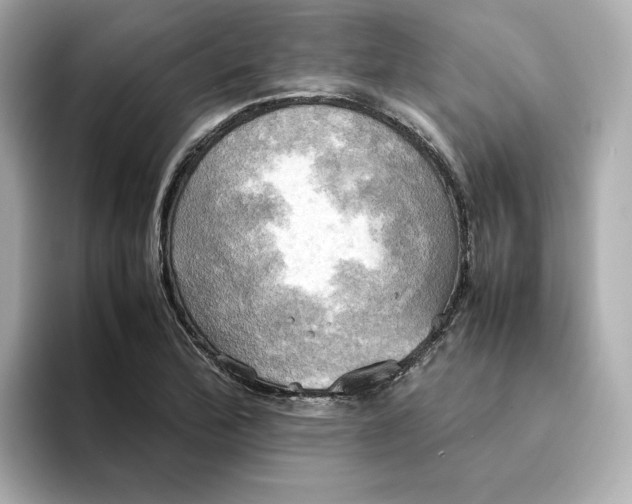 X0000095121172200712211303