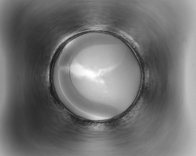 X0000095121174200712211303