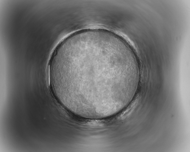 X0000095121175200712211303