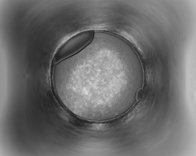 X0000095121176200712211303