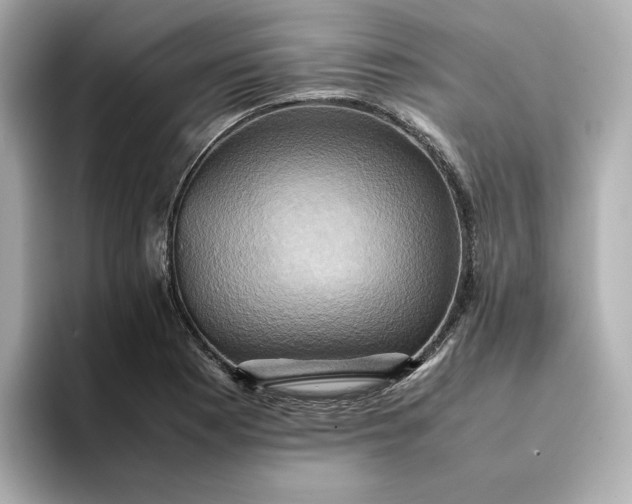 X0000095121177200712211303