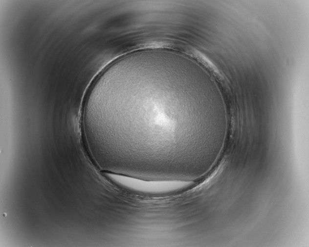 X0000095121178200712211303