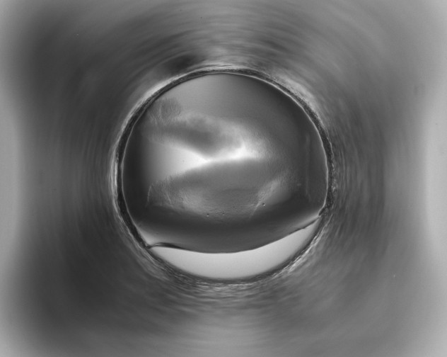 X0000095121179200712211303