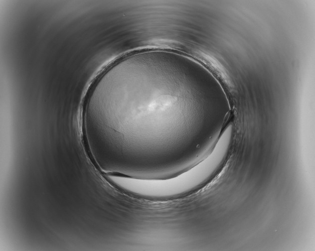 X0000095121180200712211303