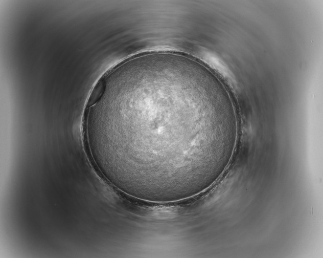 X0000095121181200712211303