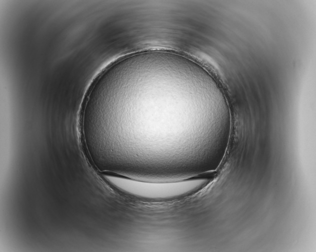 X0000095121182200712211303