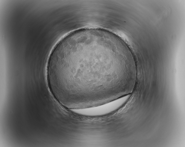 X0000095121183200712211303