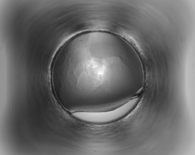 X0000095121184200712211303