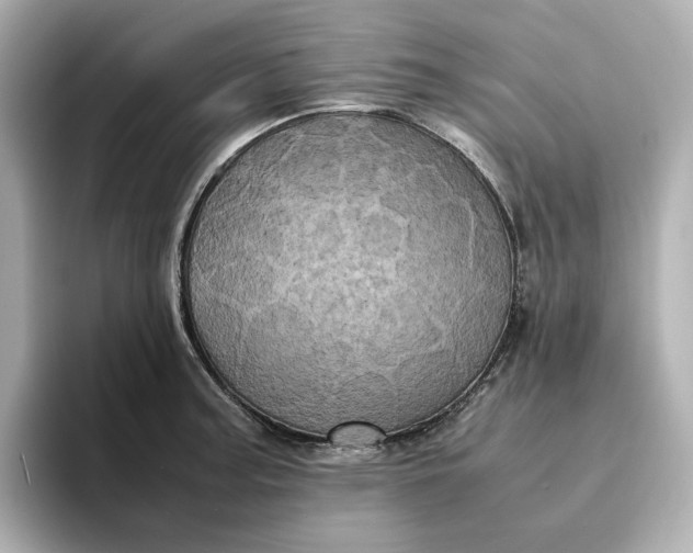 X0000095121187200712211303