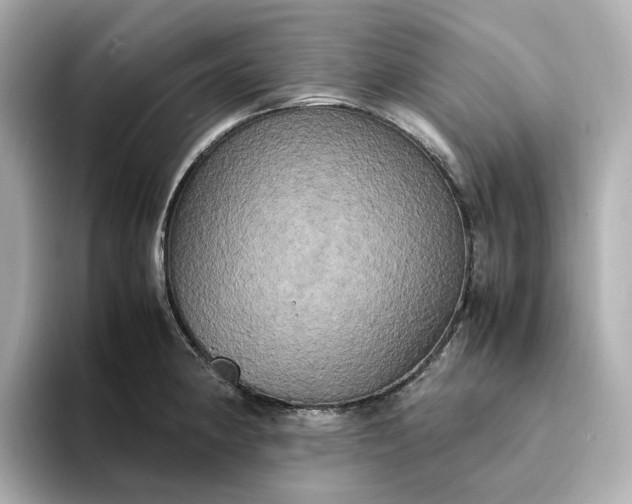 X0000095121190200712211303