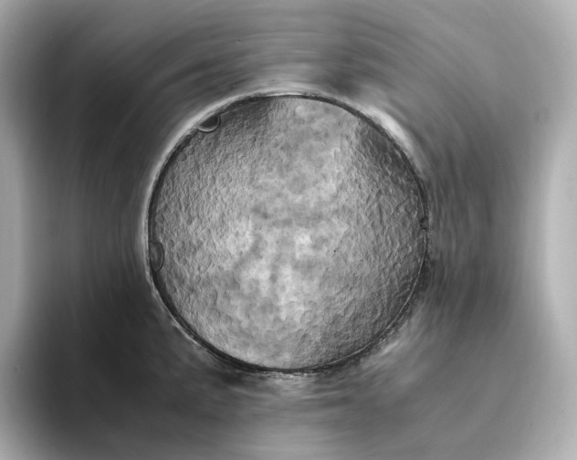 X0000095121191200712211303