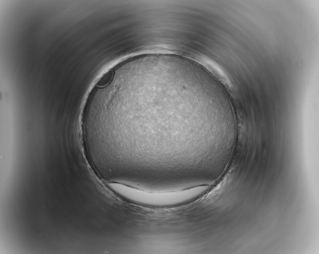 X0000095121192200712211303