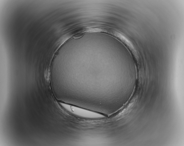 X0000095121193200712211303