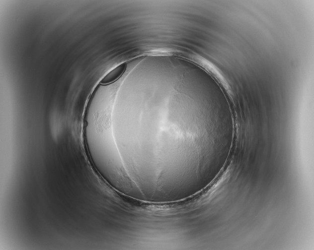 X0000095121194200712211303