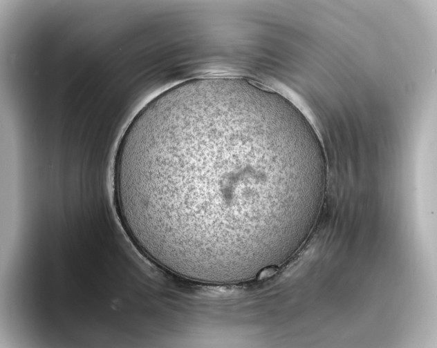 X0000095121195200712211303