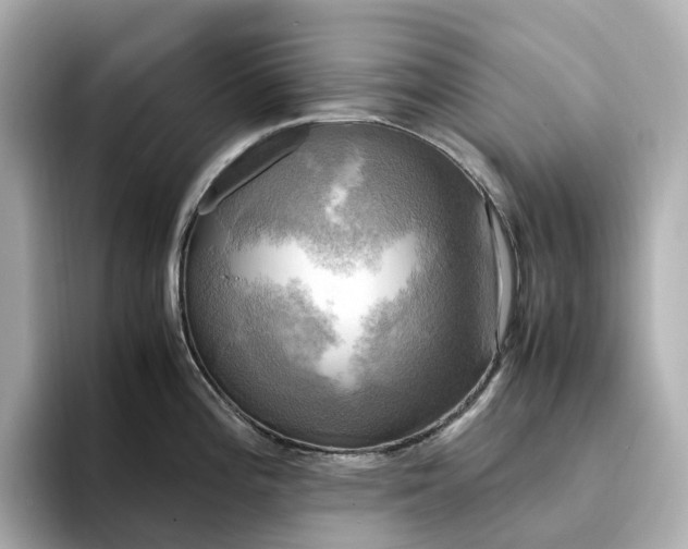 X0000095121196200712211303