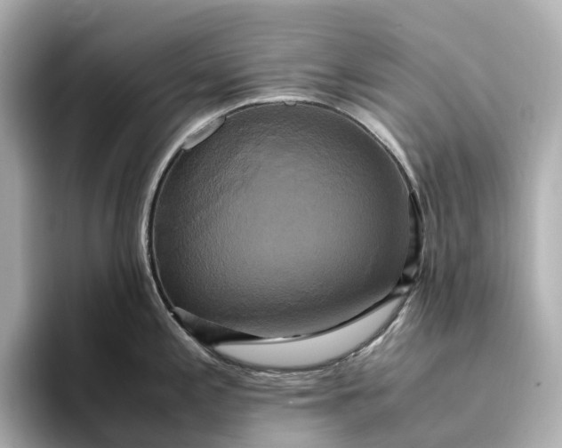 X0000095121197200712211303