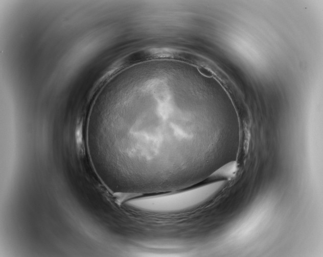 X0000095121198200712211303