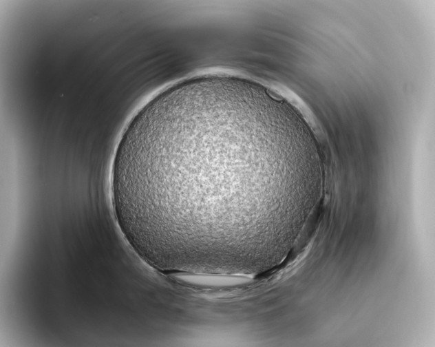 X0000095121199200712211303