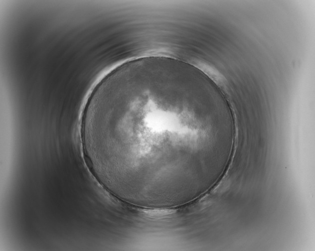 X0000095121200200712211303