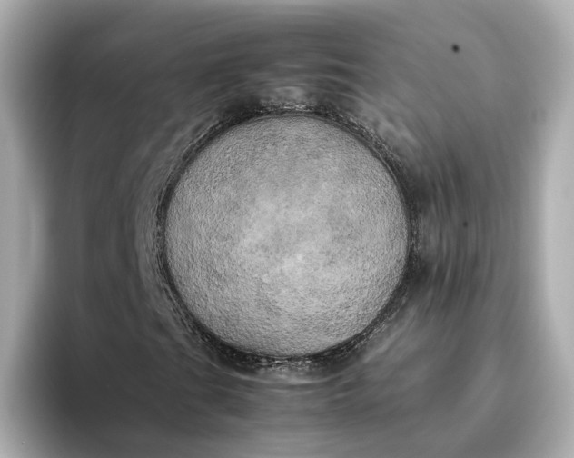 X0000095121201200712211302