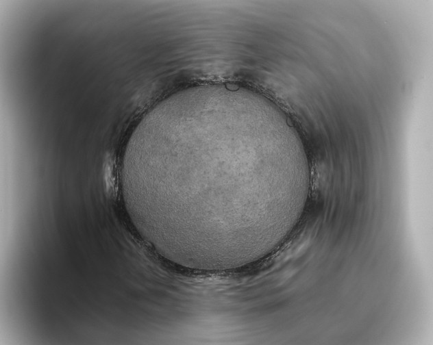 X0000095121202200712211302