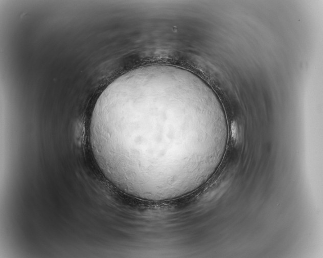 X0000095121203200712211302