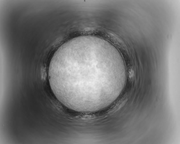 X0000095121204200712211302