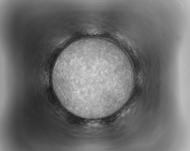 X0000095121205200712211302