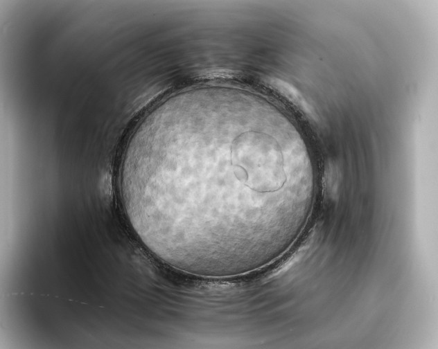 X0000095121209200712211302