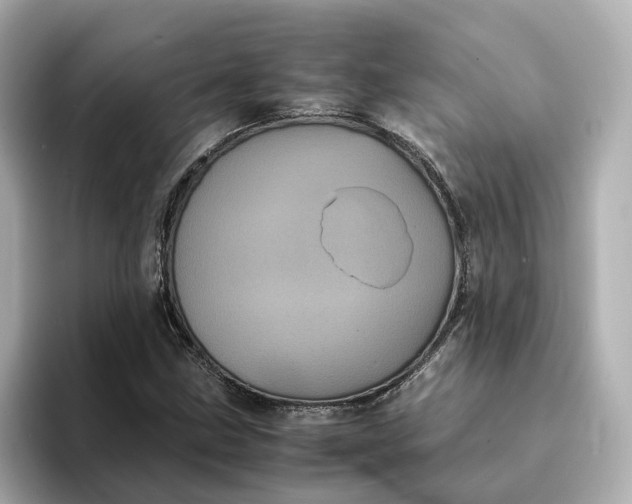 X0000095121211200712211303