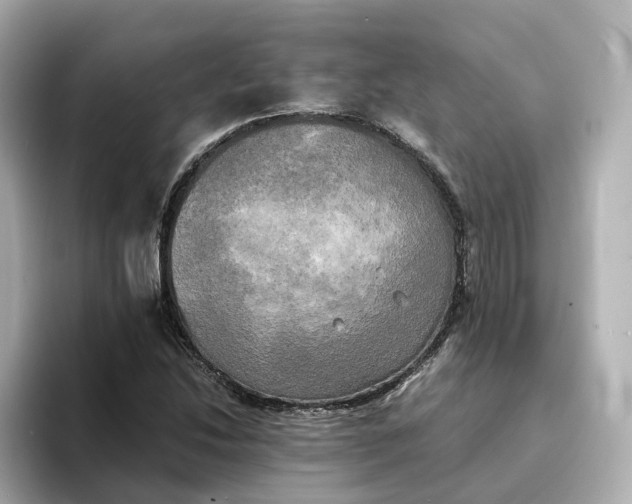 X0000095121214200712211303