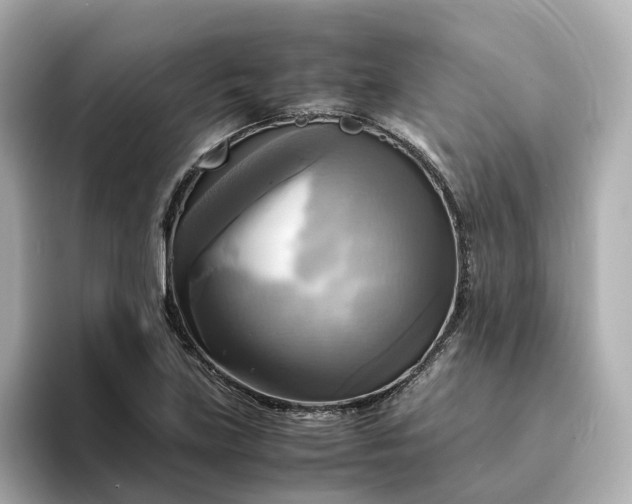 X0000095121219200712211303