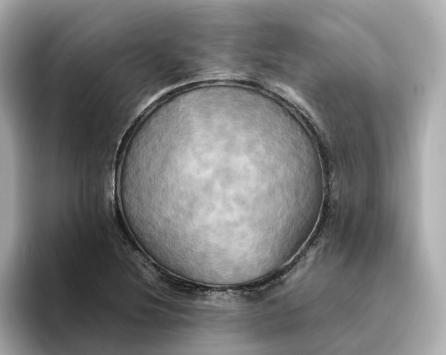 X0000095121220200712211303