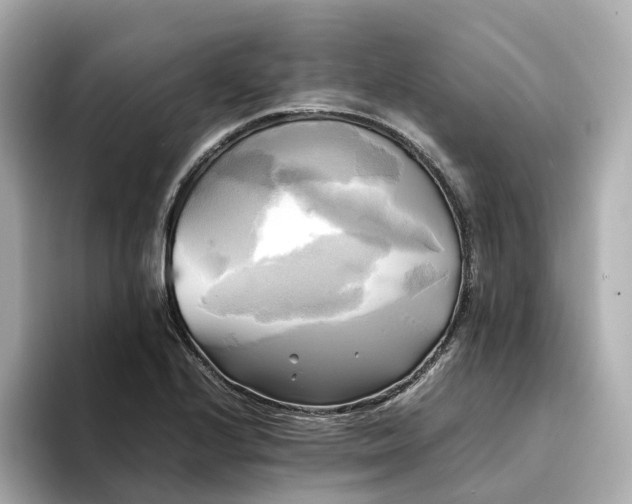 X0000095121224200712211303