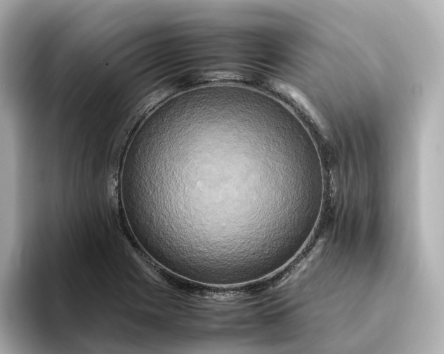 X0000095121225200712211303