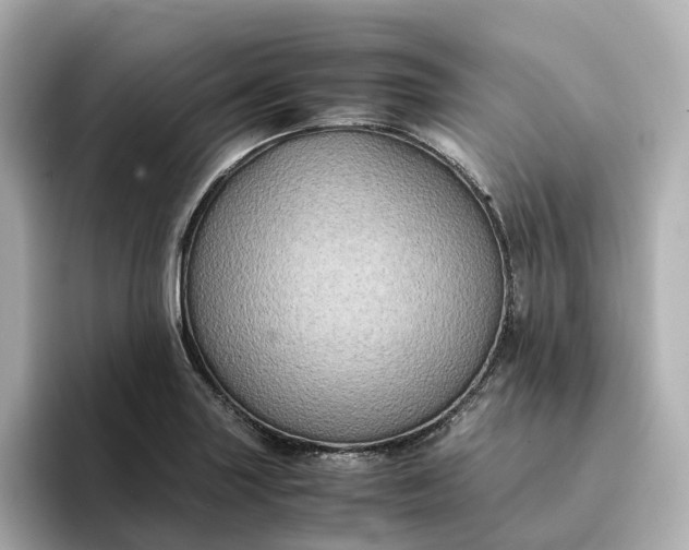 X0000095121227200712211303