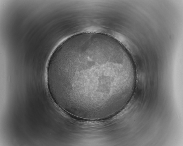 X0000095121232200712211303