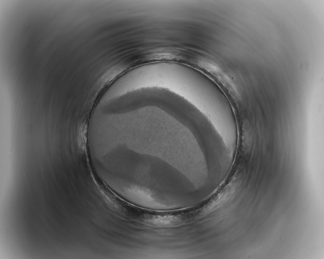 X0000095121233200712211303