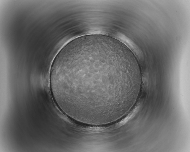 X0000095121236200712211303