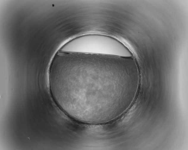 X0000095121238200712211303