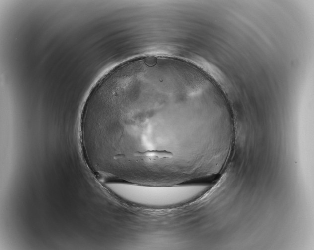 X0000095121240200712211303