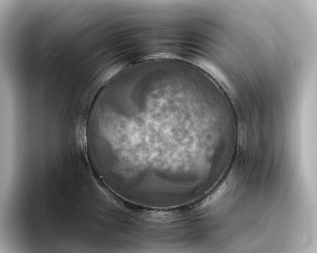 X0000095121241200712211303