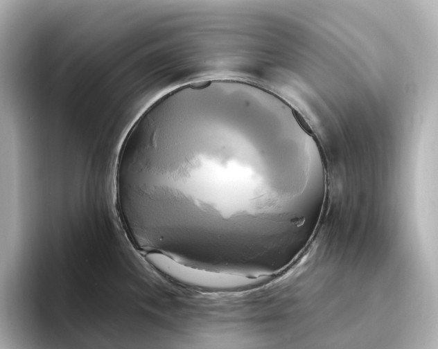 X0000095121244200712211303