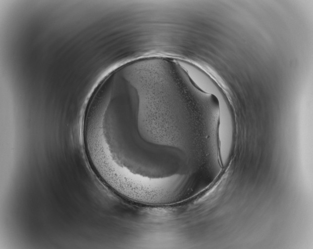 X0000095121246200712211303